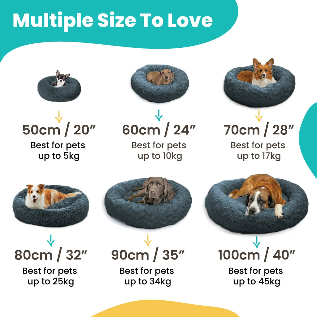 Reduce Stress, Anxiety and Give Your Dog a Better Sleep